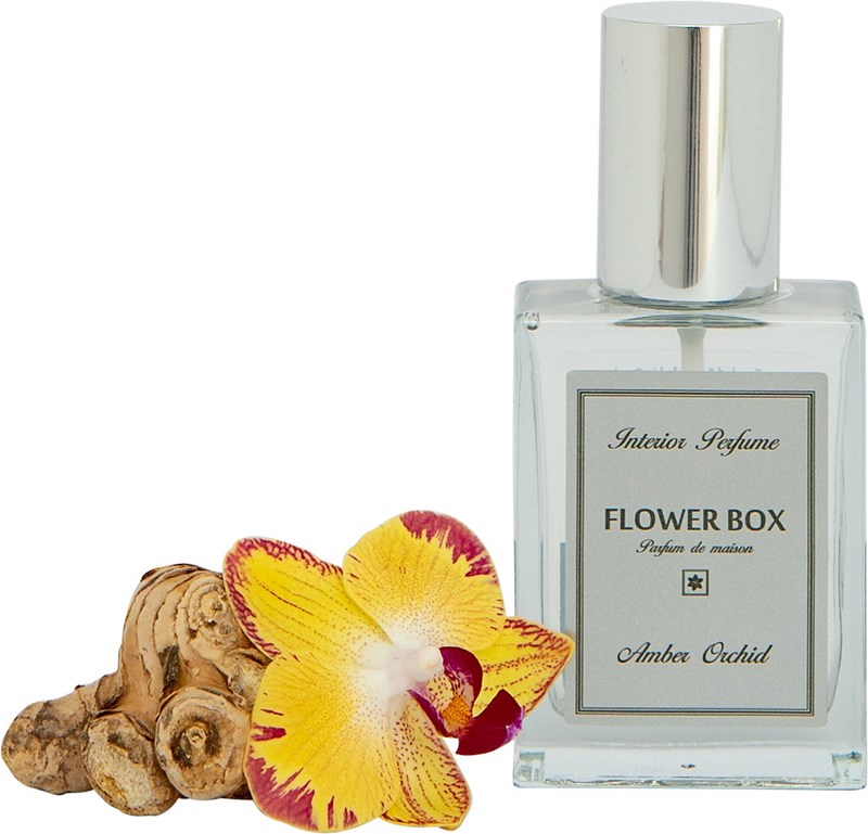 Interior Perfume Amber Orchid 1