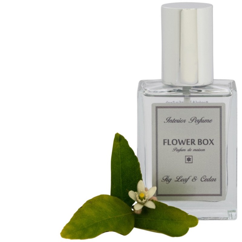 Interior Perfume Fig Leaf Cedar 1