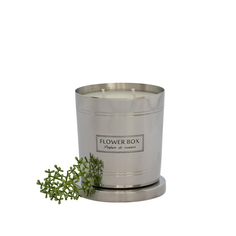 Standard Candle 290G Magnolia Green Leaves 1